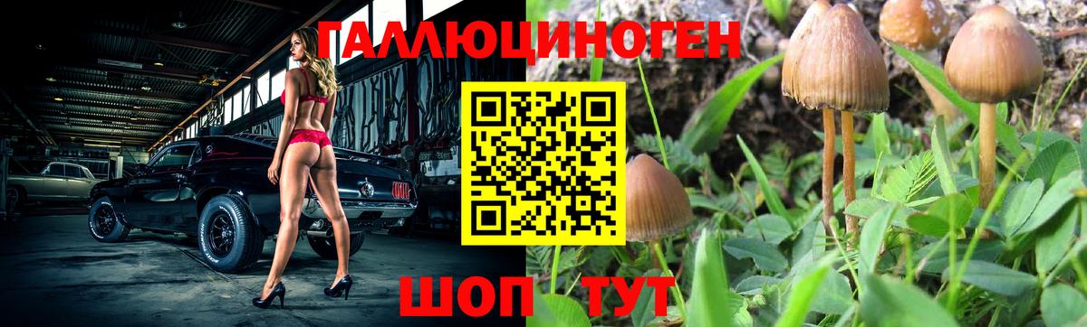 Псилоцибиновые грибы Magic Shrooms Анжеро-Судженск