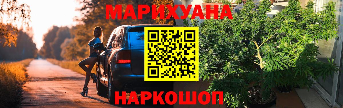 Анжеро-Судженск  Бошки Шишки OG Kush  МАРИХУАНА семена  Конопля индика  Вход с VPN 